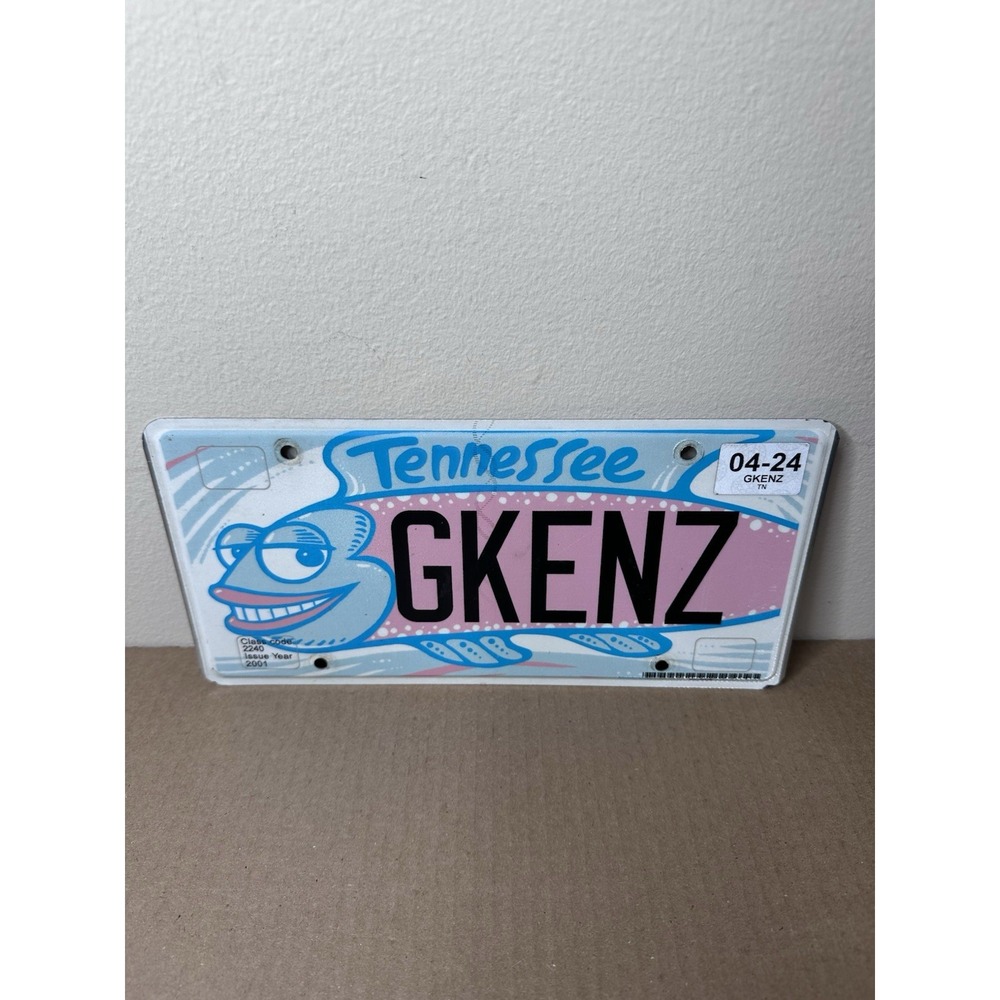 2012 Tennessee License Plate Silly Smiling Fish GKENZ Automobilia Collectible